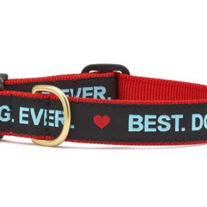 Up Country Best Dog Ever Dog Collar: Stylish and Durable Accessories for Your Beloved Pet