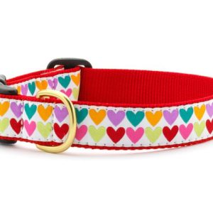 Up Country Pop Hearts Dog Collar: Stylish & Durable Accessories for Your Beloved Pet