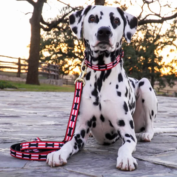 Up Country Got Bones Leash: Stylish and Durable Dog Leash for Walks - Image 2