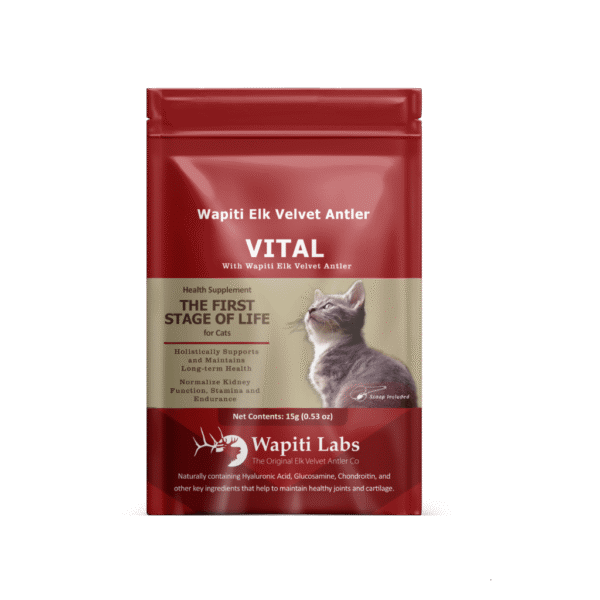 Wapiti Labs Elk Velvet Antler Vital Supplement for Cats: Boost Your Feline's Health Naturally