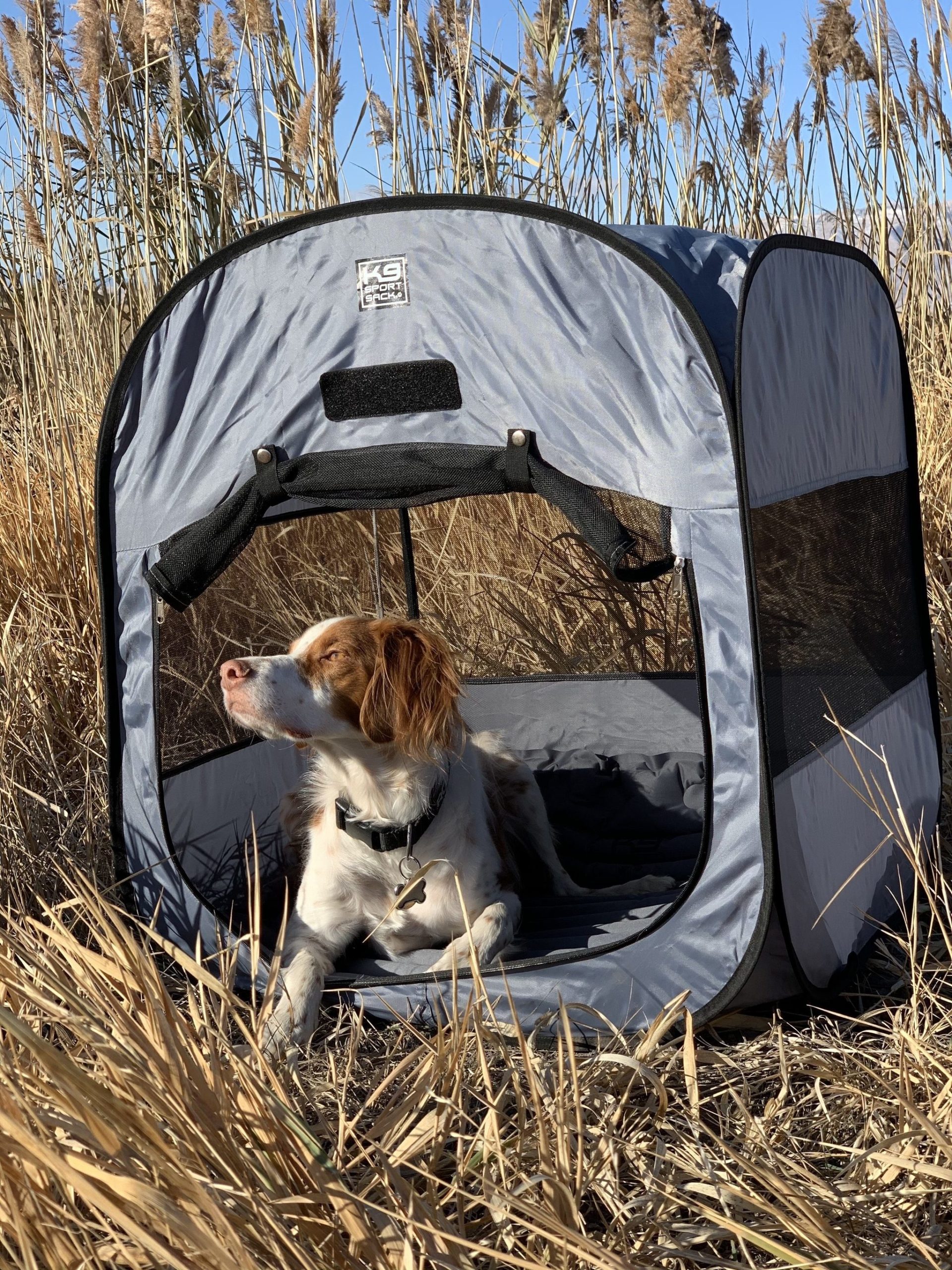 K9 Sport KENNEL POPUP DOG TENT My Wholesome Pet