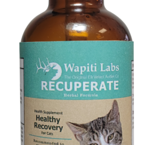 Wapiti Labs Recuperate Herbal Supplement Formula for Cats: Natural Support for Feline Recovery