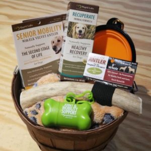 Wapiti Labs Graybeard – Large Dog Senior Mobility, Recuperate & Antler Chew Basket