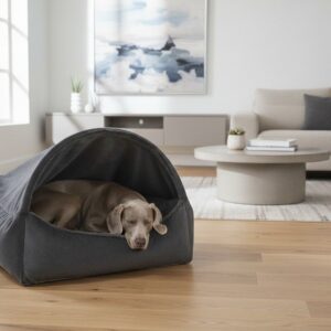 Dog napping in a gray dome-style pet bed on a wooden floor in a bright living room.
