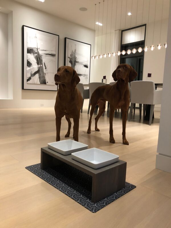 Bowsers Artisan Double Dog Feeder: Stylish, Functional, and Available in 3 Colors - Image 10