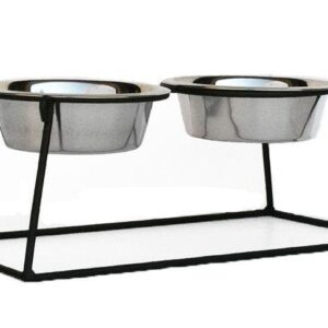 Convenient and Stylish Pets Stop Pyramid Double Diner Pet Feeder