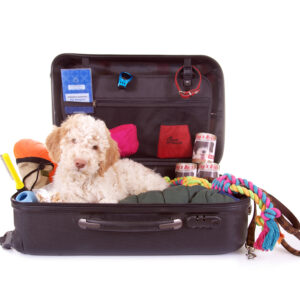 Dog Luggage