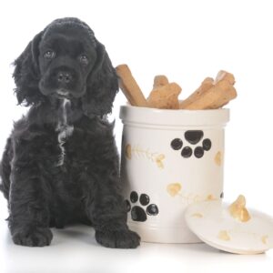 Dog Treat Jars & Food Containers