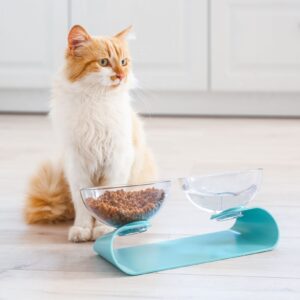 Cat Bowls / Feeders / Placemats