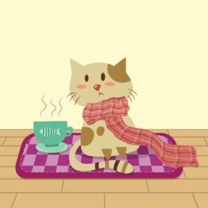 Cat Doormats