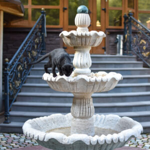 Cat Fountains