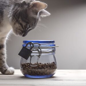 Cat Treat Jars & Food Containers