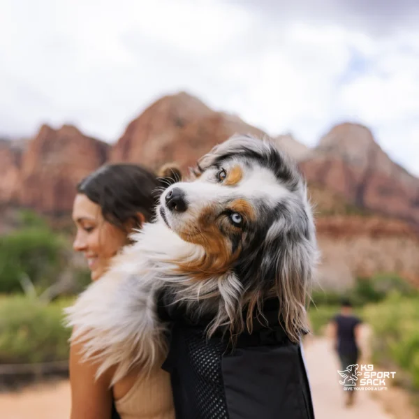 K9 Sport Sack Knavigate: Advanced Dog Carrier with Internal Frame & Hip Belt - Image 9