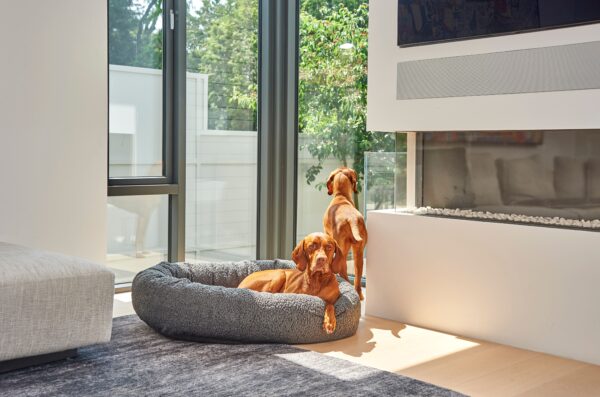 Bowsers Donut Dog Bed: Stylish and Comfortable Beds in a Variety of Colors - Image 18