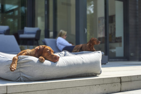 Bowsers Outdoor Urban Lounger: Stylish and Durable Lounger in 5 Vibrant Colors - Image 11