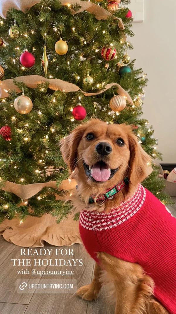 Get Festive with the Up Country Christmas Tree Sweater - Perfect for the Holiday Season! - Image 3