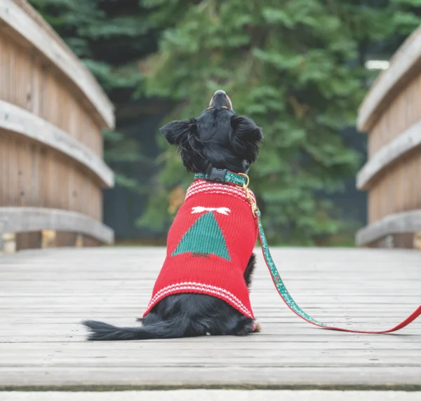 Get Festive with the Up Country Christmas Tree Sweater - Perfect for the Holiday Season! - Image 4
