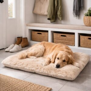 Golden retriever resting on a plush beige dog bed in a mudroom with coats, baskets and shoes nearby.
