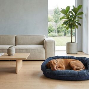 Brown dog resting in a blue round bed on a light wooden floor beside a beige sofa and a low wooden coffee table in a bright living room with large windows and a potted plant close by.