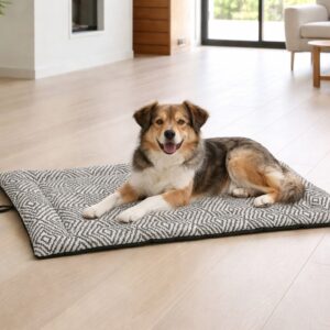 Happy mixed-breed dog lounging on a black-and-white geometric rug in a bright living room