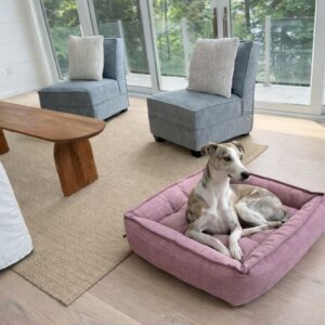 Dog lounging in a pink dog bed in a bright living room with glass doors and blue chairs nearby.