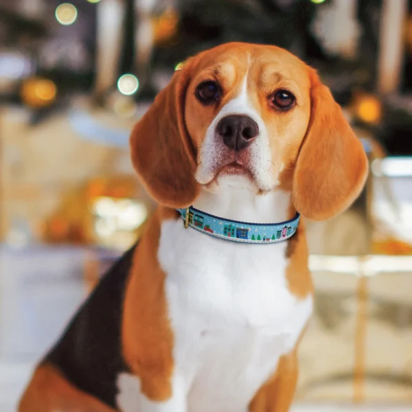 Up Country City Christmas Dog Collar: Festive and Stylish Holiday Pet Accessory - Image 3