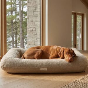 Brown dog sleeping on a beige dog bed in a sunlit living room with large lake-view windows.