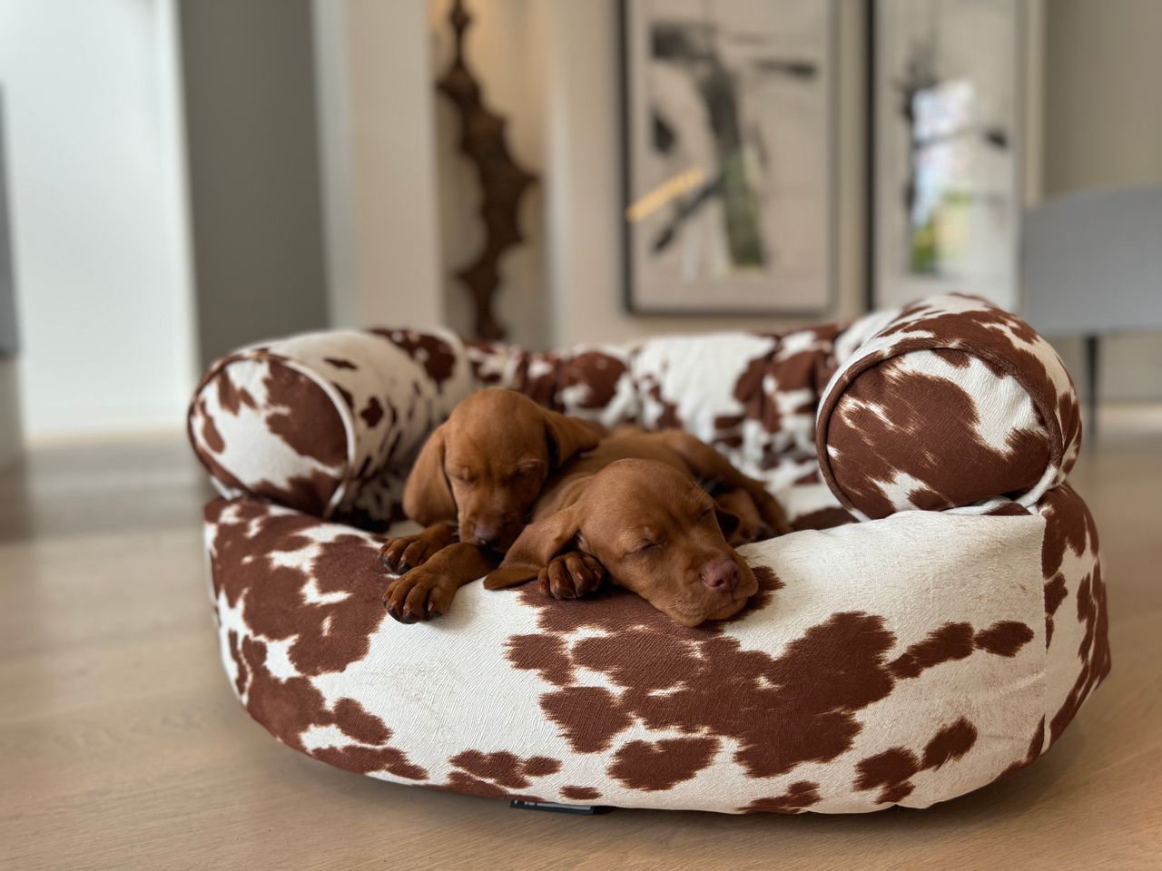Two brown puppies asleep on a white-and-brown cow-pattern dog bed on a wooden floor in a living room.