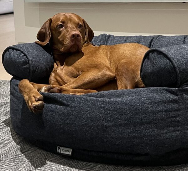 Bowsers Double Donut Dog Bed: Comfortable and Stylish Bed for Dogs in 6 Colors - Image 6