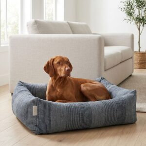 Brown short-haired dog resting in a blue-gray cushioned dog bed in a bright, modern living room with a beige sofa and wooden floor.