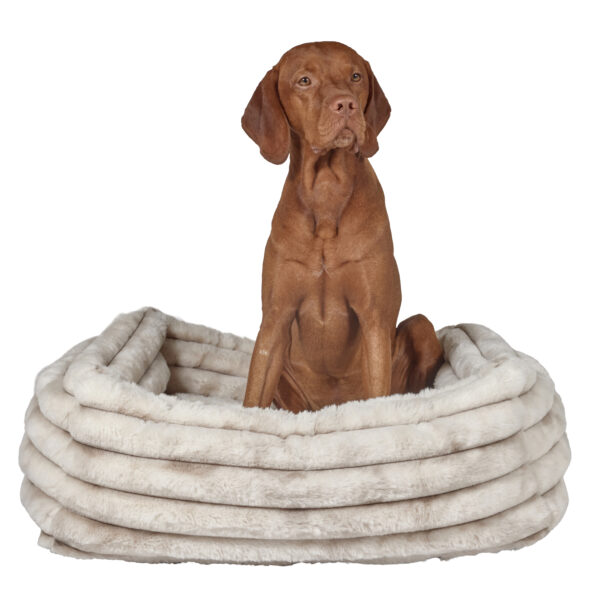 Bowsers The Franklin: Stylish and Comfortable Pet Bed in 8 Vibrant Colors - Image 13