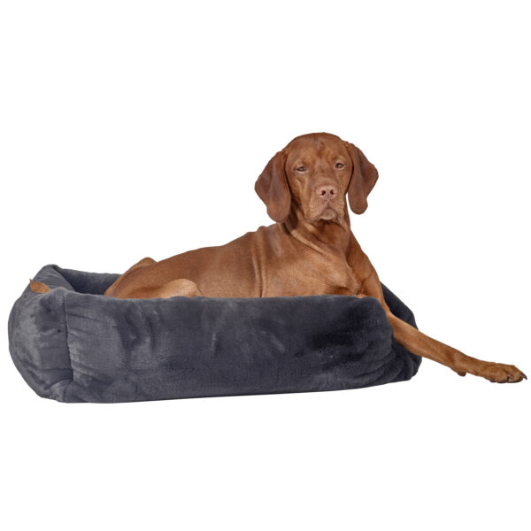 Bowsers The Franklin: Stylish and Comfortable Pet Bed in 8 Vibrant Colors - Image 11
