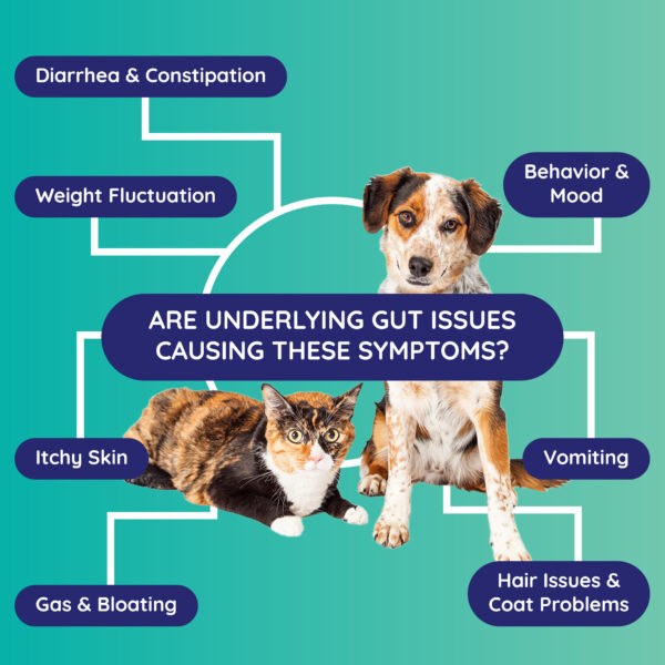 Innovative Pet Lab Basic Gut Check: Advanced Pet Health Monitoring Solution - Image 8