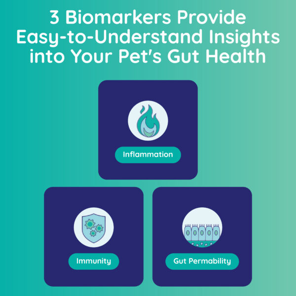 Innovative Pet Lab Basic Gut Check: Advanced Pet Health Monitoring Solution - Image 9