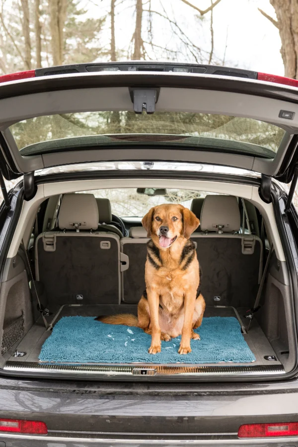 Dirty Dog Doormats - Image 17