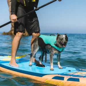 Body Glove Neoprene Pet Life Jacket - Premium Safety Vest for Dogs