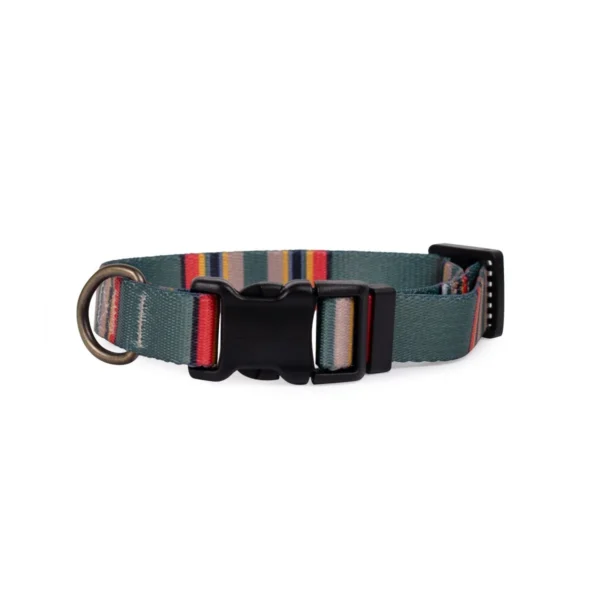 Pendleton Adventure Collar: 10 Vibrant Colors for Stylish Pets - Image 7