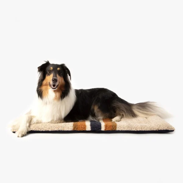 Luxurious Shinola Stripe Comfort Cushion Berber Dog Bed - Available in 2 Colors: Ultimate Pet Relaxation - Image 7