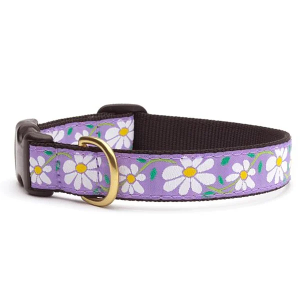 Up Country Daisy Dog Collar - Floral Pattern for Fashionable Pets