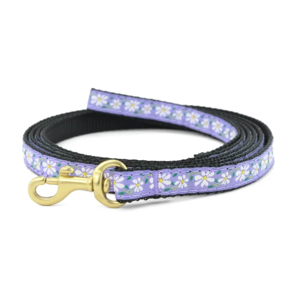 Up Country Daisy Dog Leash - Image 4
