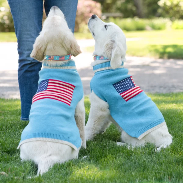 Show Your Patriotism with Up Country Flag Day Sweater - Limited Edition - Image 2