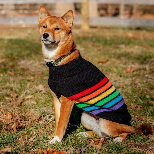 Up Country Rainbones Sweater - Image 4