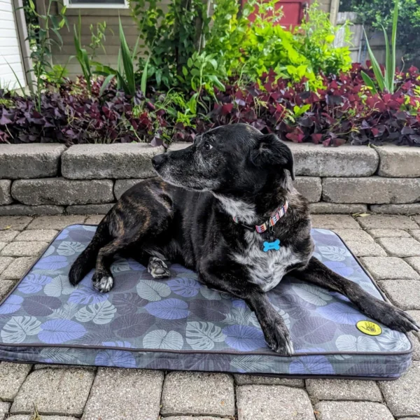Ultimate Beach Companion: Body Glove Sun & Sand Mat
