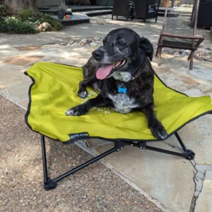 Portable Body Glove Fold & Go Pet Cot - Comfortable Elevated Bed for Dogs