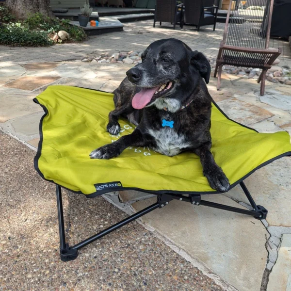 Portable Body Glove Fold & Go Pet Cot - Comfortable Elevated Bed for Dogs