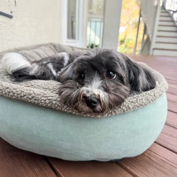 Carolina Pet Microfiber Comfy Cup: Cozy and Stylish Pet Bed for Small Dogs and Cats