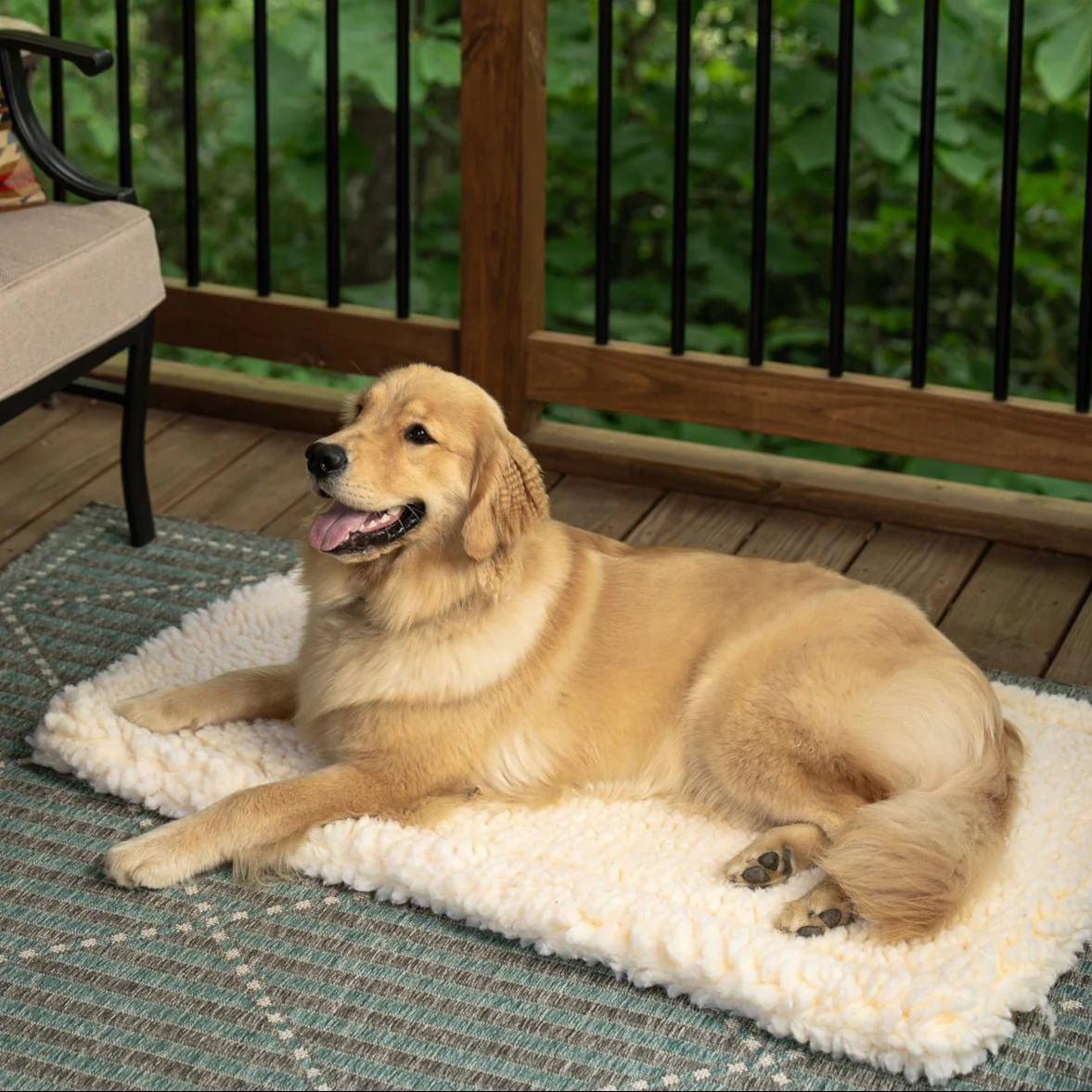 Carolina Pet Sherpa Comfort Cushion: Plush and Cozy Pet Bed for Ultimate Comfort - Image 9