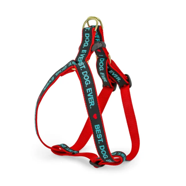 Up Country Best Dog Ever Dog Harness