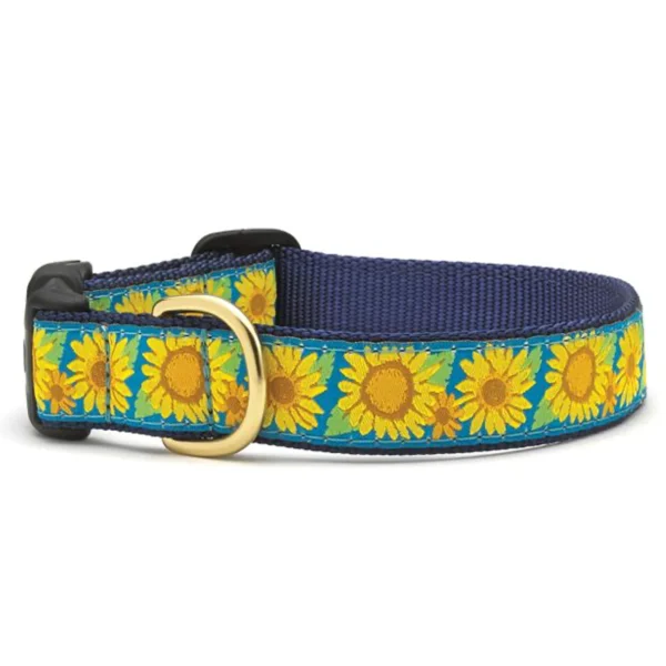 Up Country Bright Sunflower Dog Collar: Stylish Floral Design for Your Pup