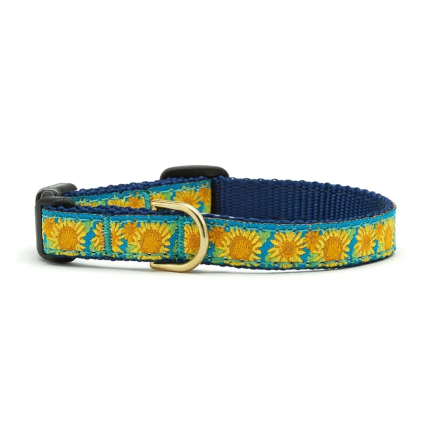 Up Country Bright Sunflower Dog Collar: Stylish Floral Design for Your Pup - Image 6